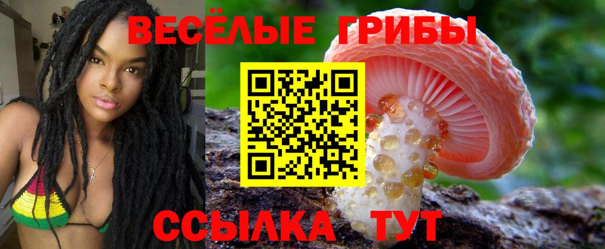 Псилоцибиновые грибы GOLDEN TEACHER Калининград