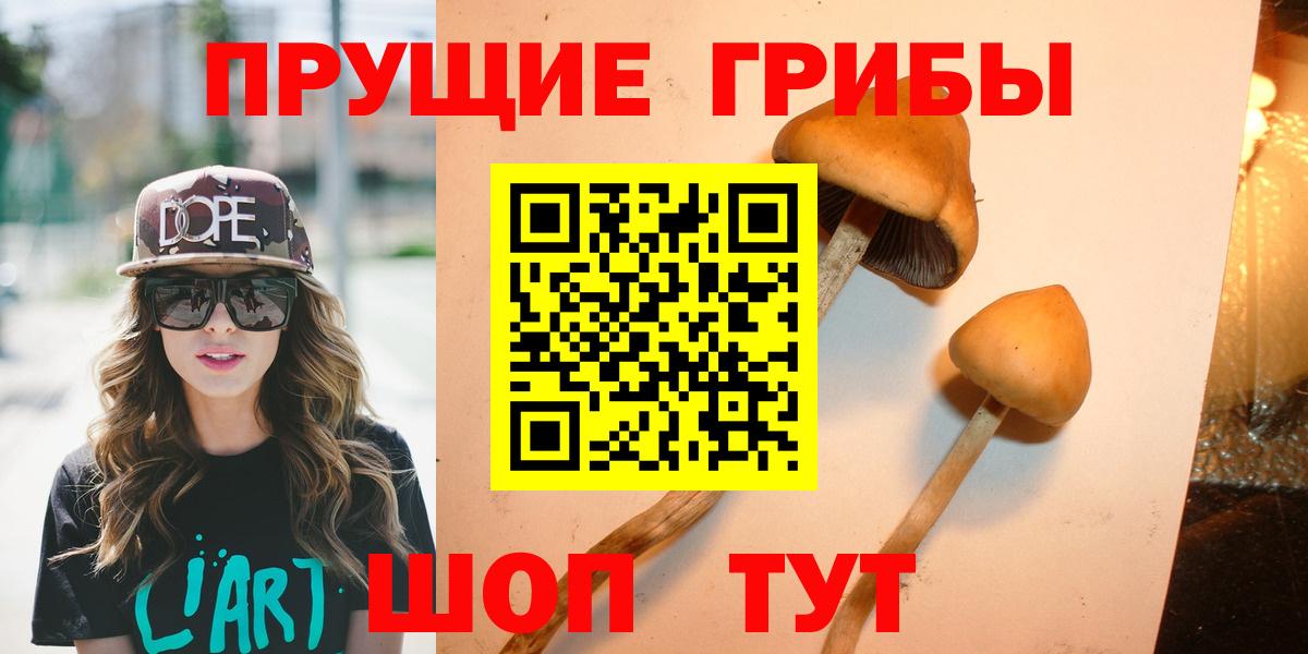 купить   Галлюциногенные грибы Psilocybe  Вход с VPN  Калининград  Галлюциногенные грибы ЛСД 